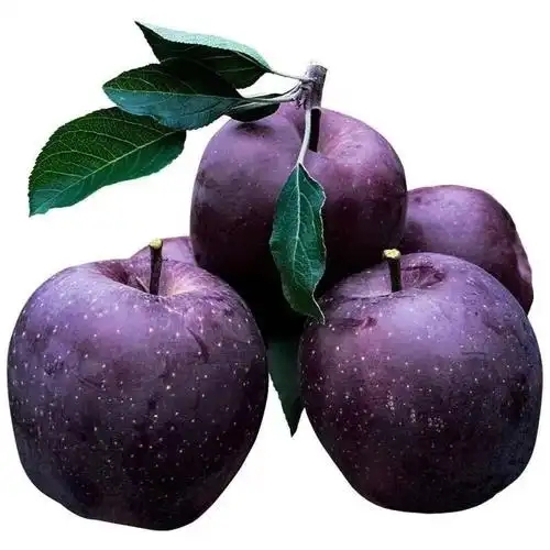 u=2181789243,806669147&fm=253&fmt=auto&app=138&f=JPEG.webp.jpg