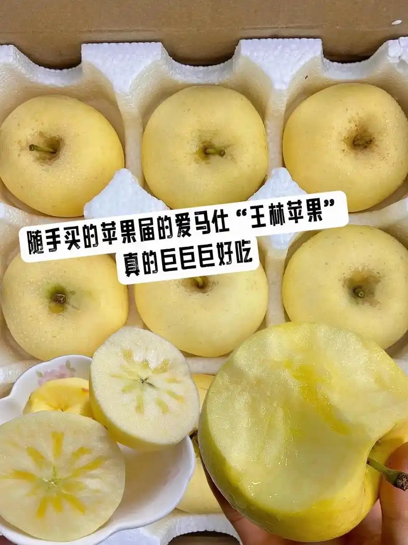 u=473254385,2792844740&fm=253&fmt=auto&app=138&f=JPEG.webp.jpg