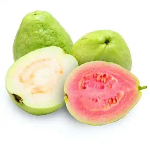 u=3382953899,3214991559&fm=253&fmt=auto&app=138&f=JPEG.webp.jpg