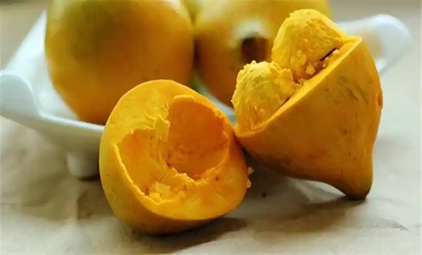 u=1992275010,1331727398&fm=253&fmt=auto&app=120&f=JPEG.webp.jpg