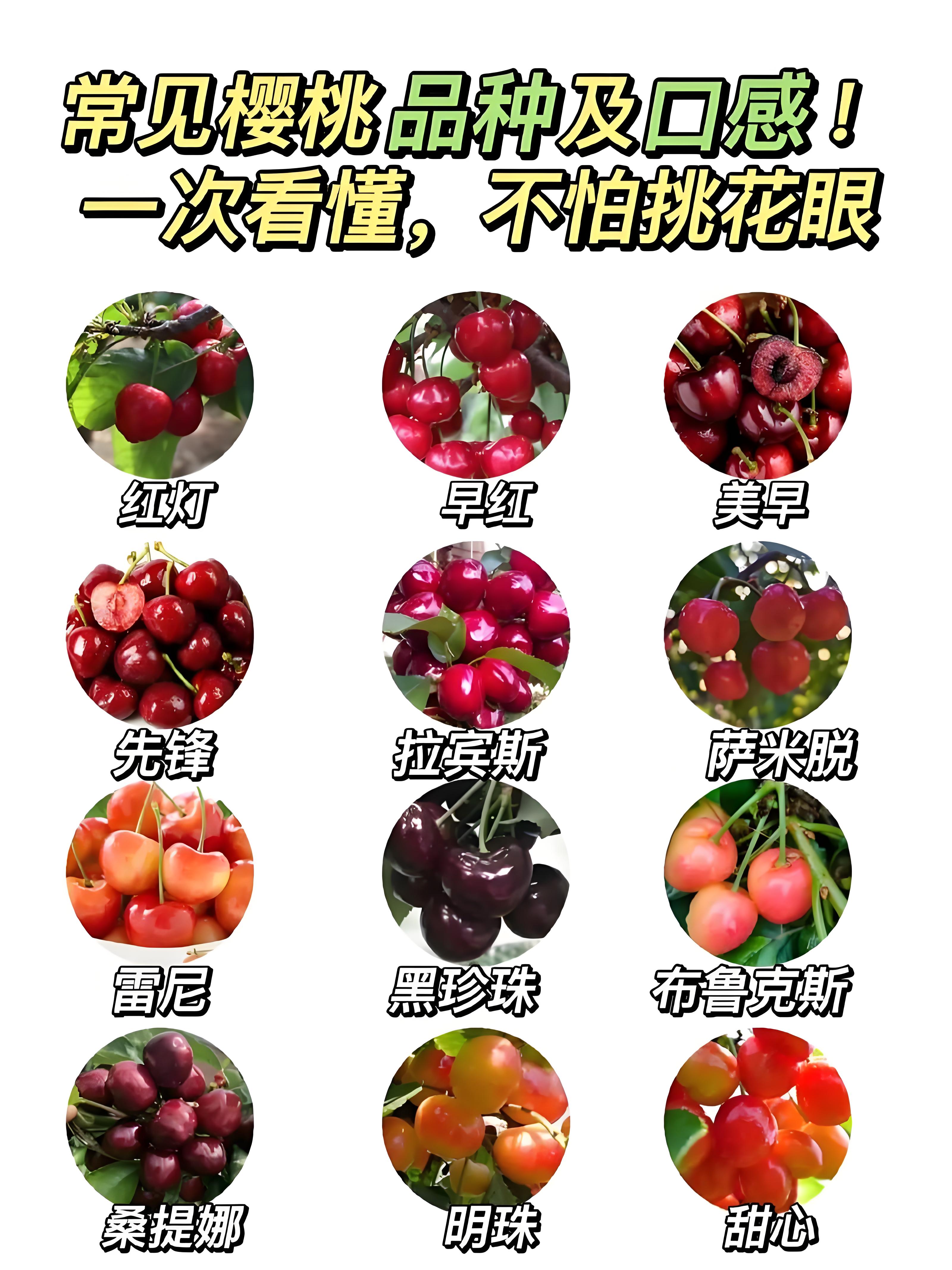 a10501db-8924-4ce4-b519-12ece6851914.jpg