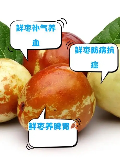 u=2694854289,226995051&fm=253&fmt=auto&app=138&f=JPEG.webp.jpg