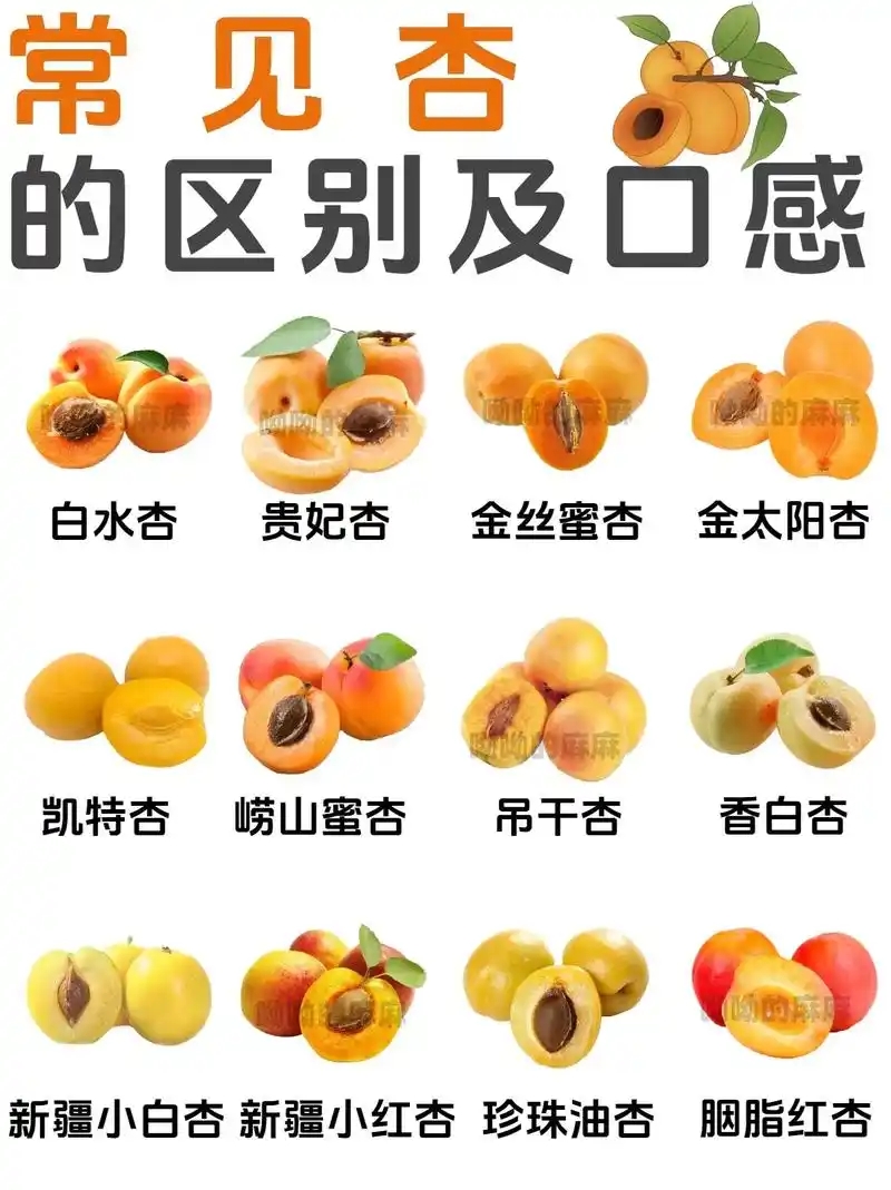 u=143109406,2052793217&fm=253&fmt=auto&app=138&f=JPEG.webp.jpg