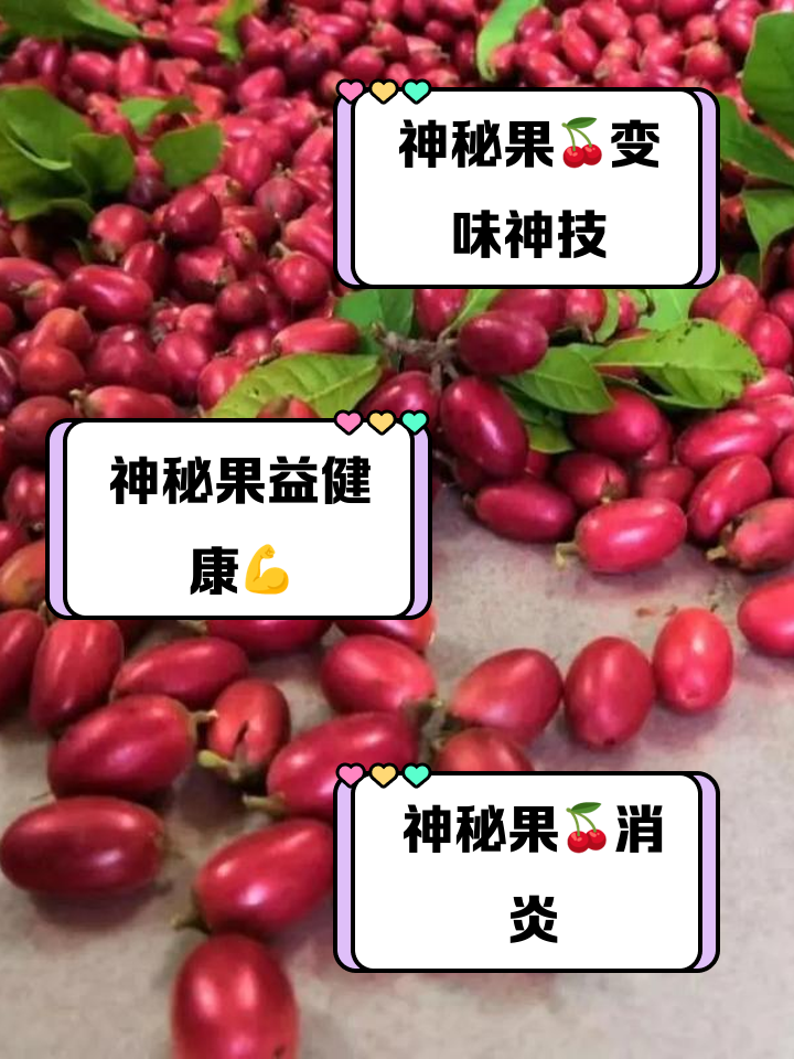 b7003af33a87e950ef9db4ed02385343faf2b4ad.png