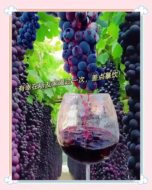 u=3494745947,794849107&fm=253&fmt=auto&app=138&f=JPEG.webp.jpg