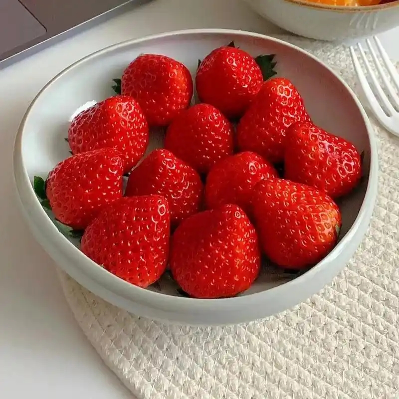u=72824511,2724242717&fm=253&fmt=auto.webp.jpg