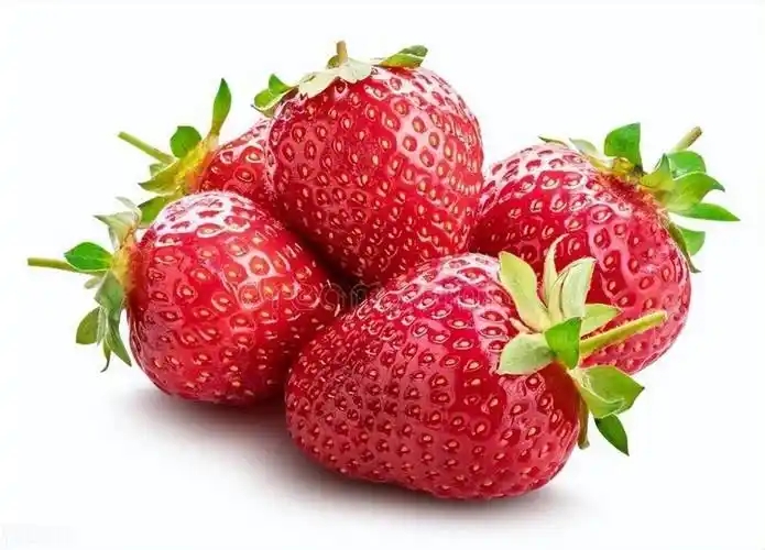 u=943881372,2174150393&fm=253&fmt=auto&app=120&f=JPEG.webp.jpg