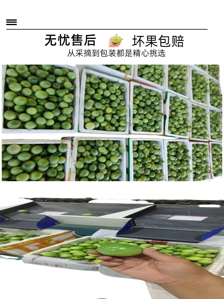 db75f9dd7362ed7be17ccef81c973cb8.jpg