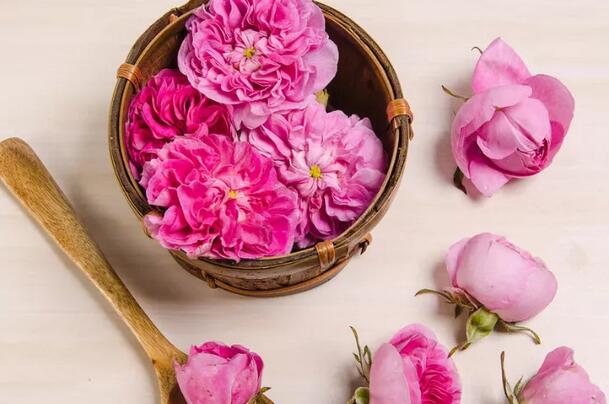 玫瑰花茶适宜人群(1)