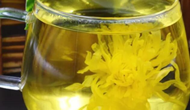 经期可以喝菊花茶吗(1)